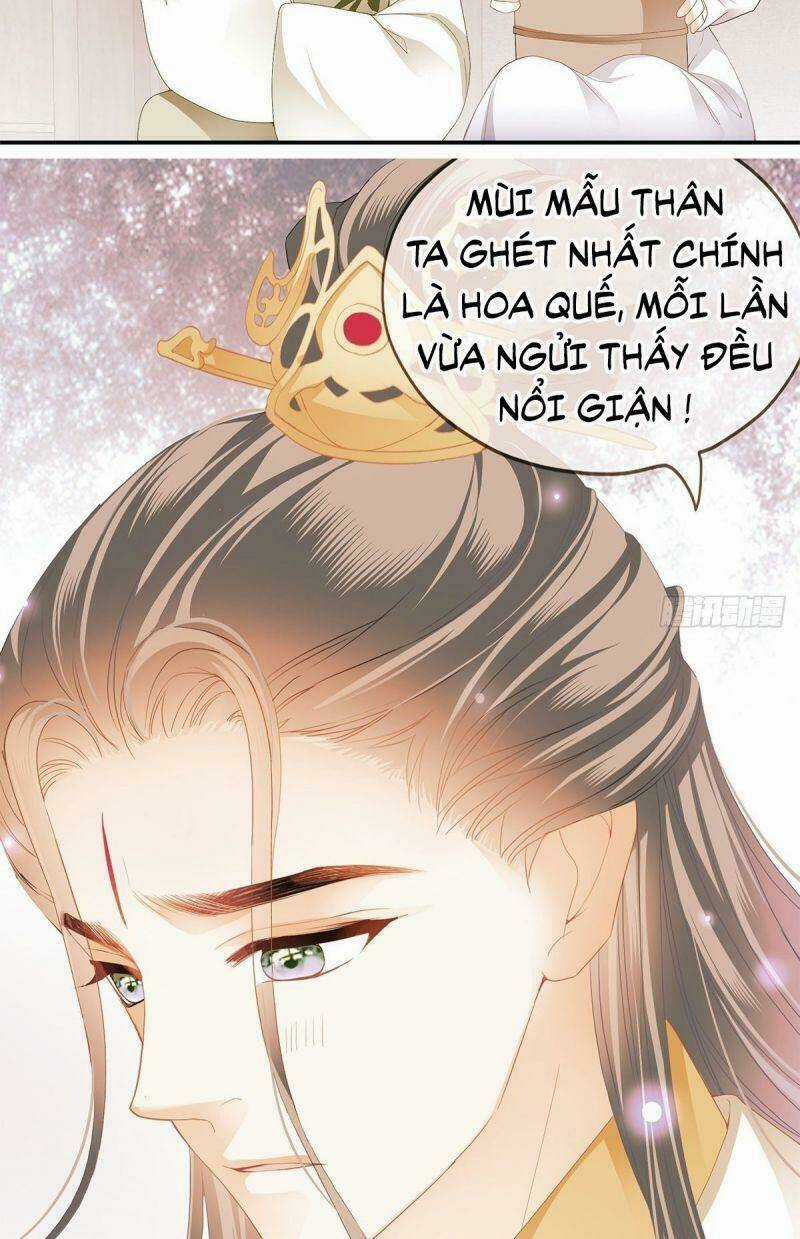 Bổn Vương Muốn Ngươi Chapter 17 trang 24