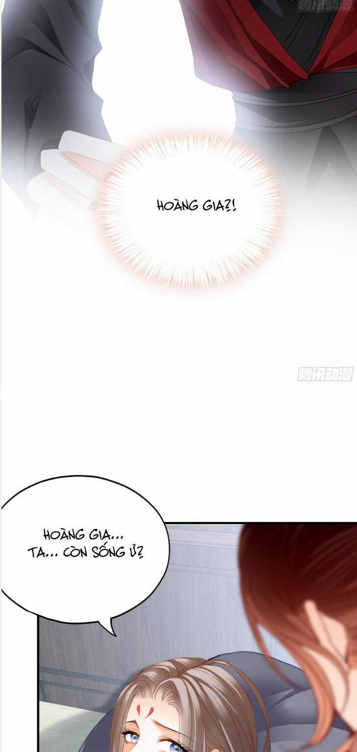 Bổn Vương Muốn Ngươi Chapter 184 trang 5