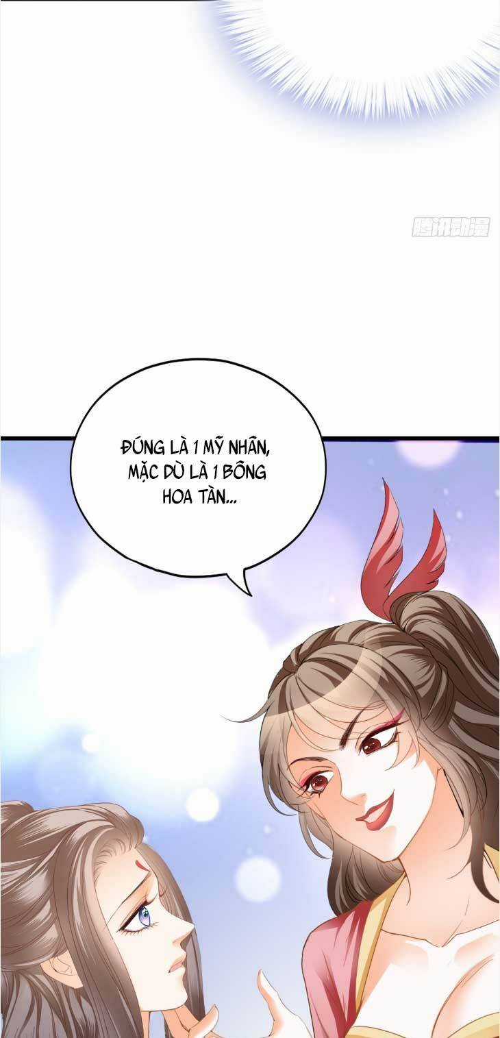 Bổn Vương Muốn Ngươi Chapter 203 trang 31