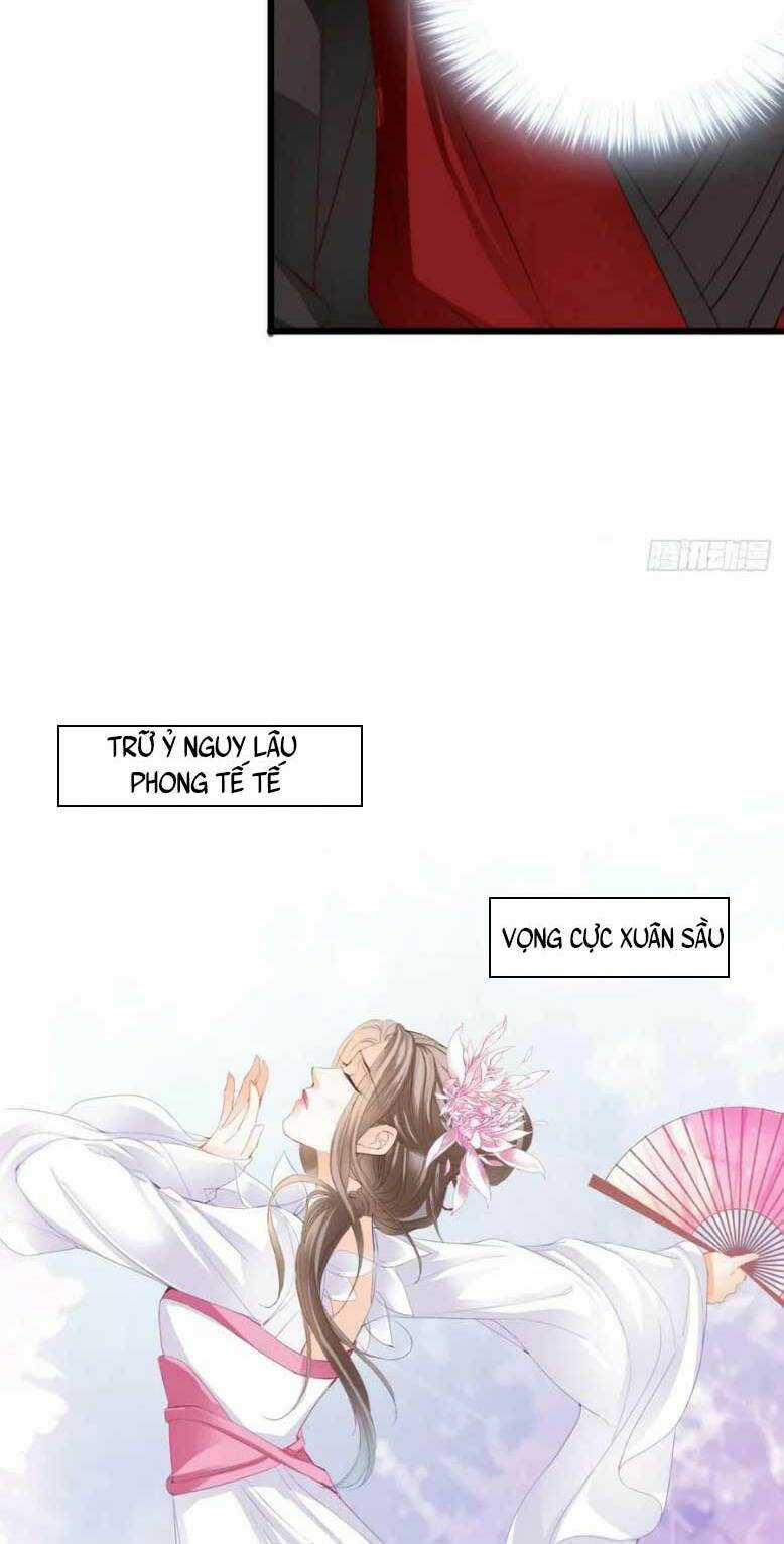 Bổn Vương Muốn Ngươi Chapter 204 trang 14