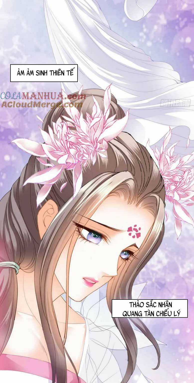 Bổn Vương Muốn Ngươi Chapter 204 trang 15