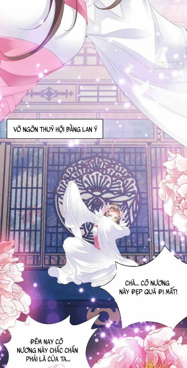 Bổn Vương Muốn Ngươi Chapter 204 trang 16