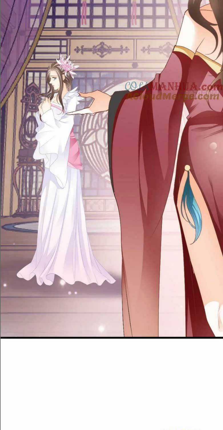 Bổn Vương Muốn Ngươi Chapter 204 trang 27