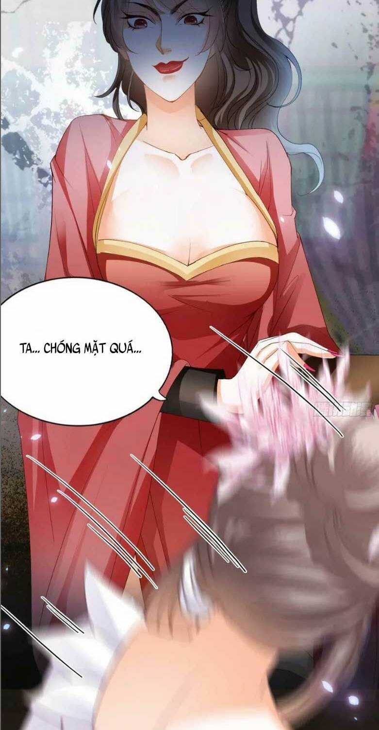 Bổn Vương Muốn Ngươi Chapter 204 trang 32