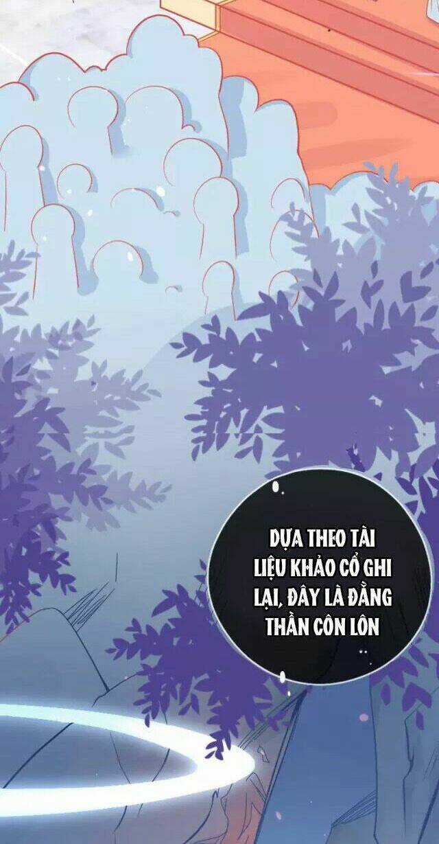 Bổn Vương Phi Có Roi Trong Tay Chapter 1 trang 15