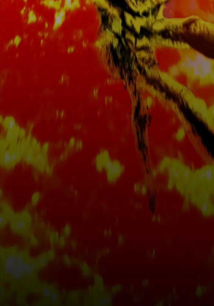 Bones Chapter 4 trang 183