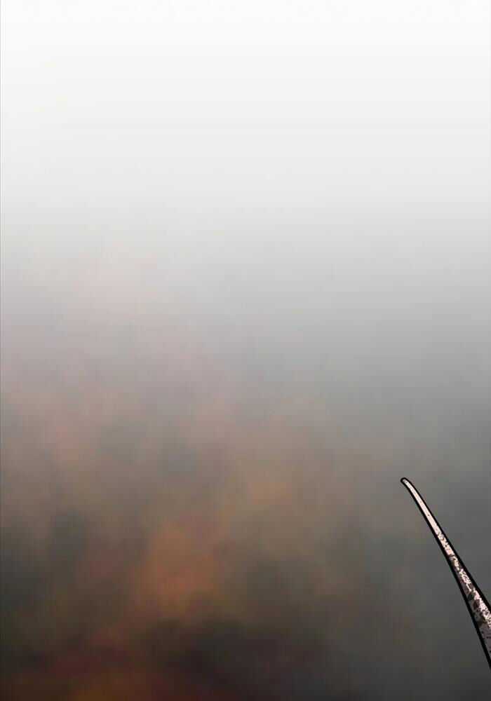 Bones Chapter 5 trang 218