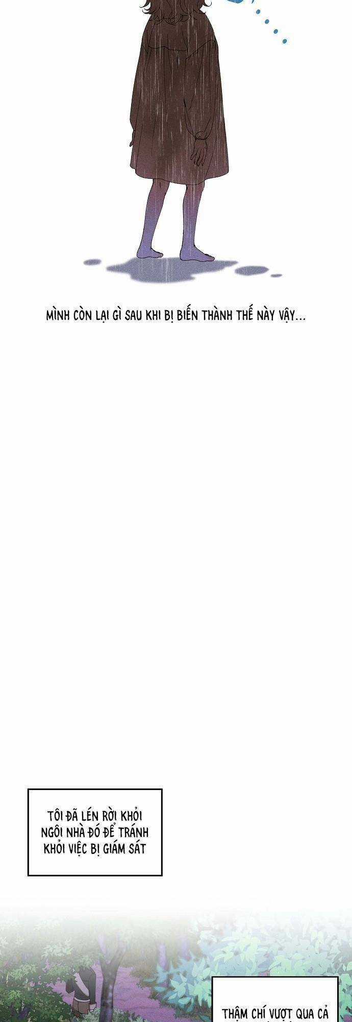 Bong Bóng Của Sóng Biển Chapter 1 trang 12