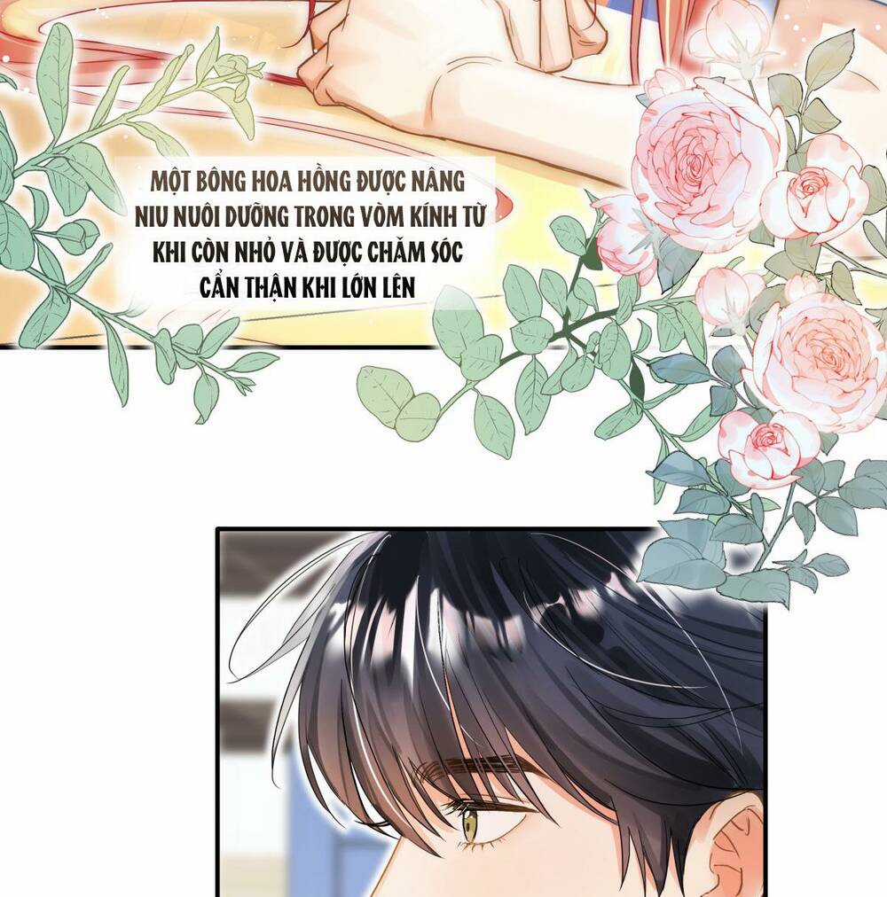 Bong Bóng Đào Chi Chapter 12 trang 6