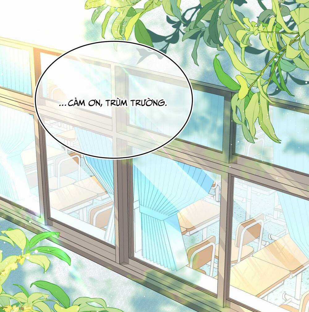 Bong Bóng Đào Chi Chapter 12 trang 8