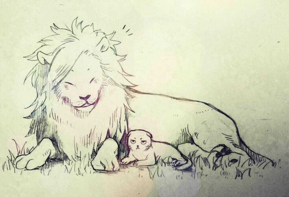 Bóng Chuyền Nảy Lửa - Taiga Dj Chapter 13 trang 5