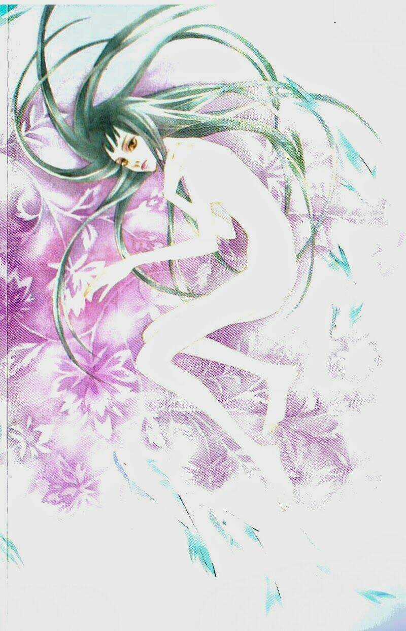 Bông Hoa Của Tội Lỗi Chapter 12 trang 2