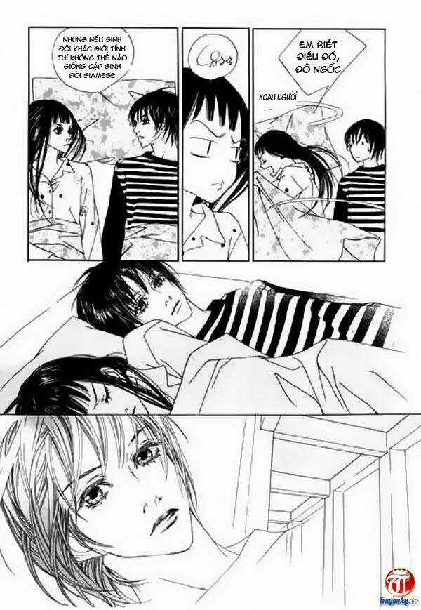 Bông Hoa Của Tội Lỗi Chapter 3 trang 28