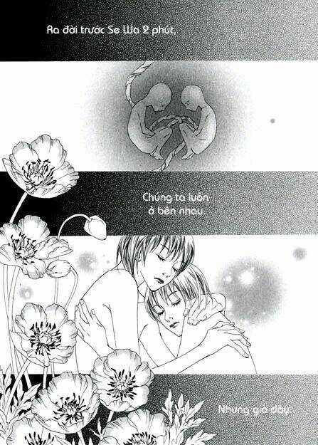 Bông Hoa Của Tội Lỗi Chapter 7 trang 29