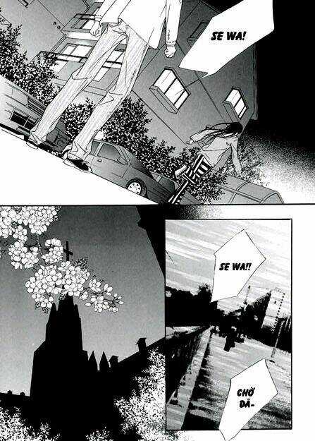 Bông Hoa Của Tội Lỗi Chapter 7 trang 41