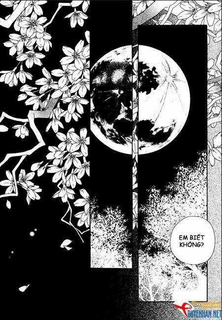 Bông Hoa Của Tội Lỗi Chapter 8 trang 12