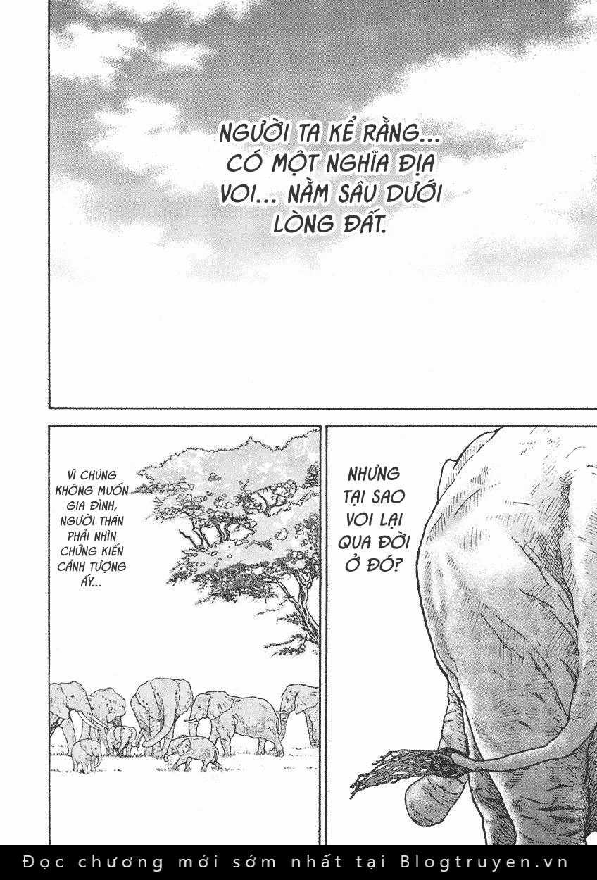 Bóng Lưng Chapter 15 trang 3