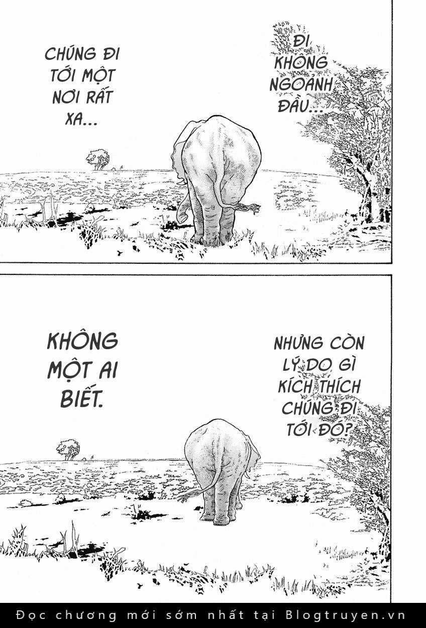 Bóng Lưng Chapter 15 trang 4