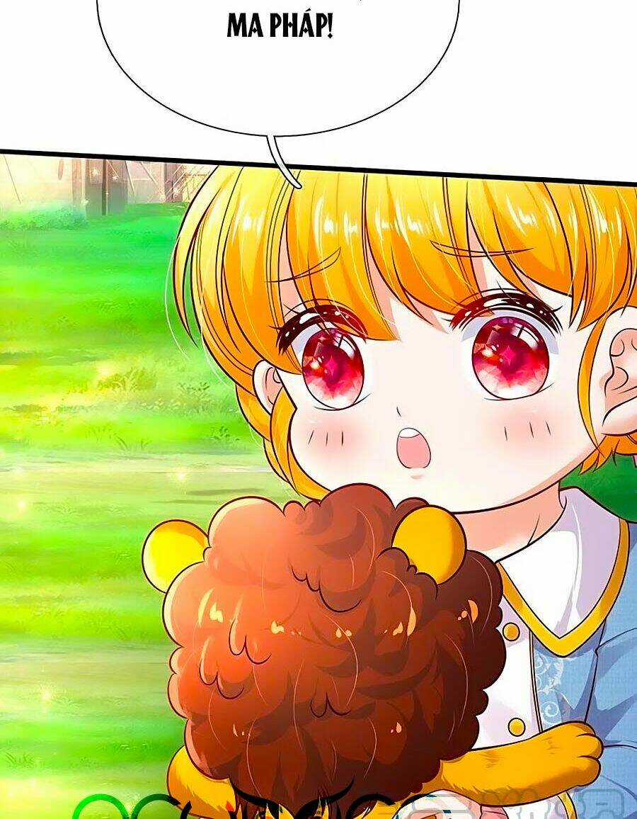 Bỗng Một Ngày Trở Thành Con Gái Nhà Vua Chapter 331 trang 17