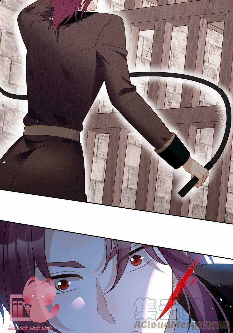 Bỗng Một Ngày Xuyên Thành Hoàng Hậu Ác Độc Chapter 110 trang 4