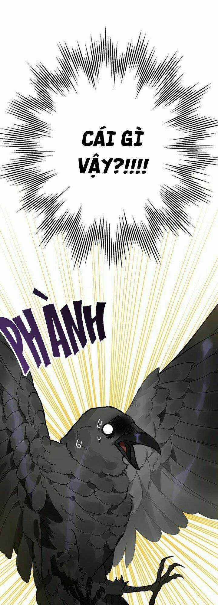 Bỗng Nhiên Tôi Trở Thành Quạ Đen!! Chapter 1 trang 19