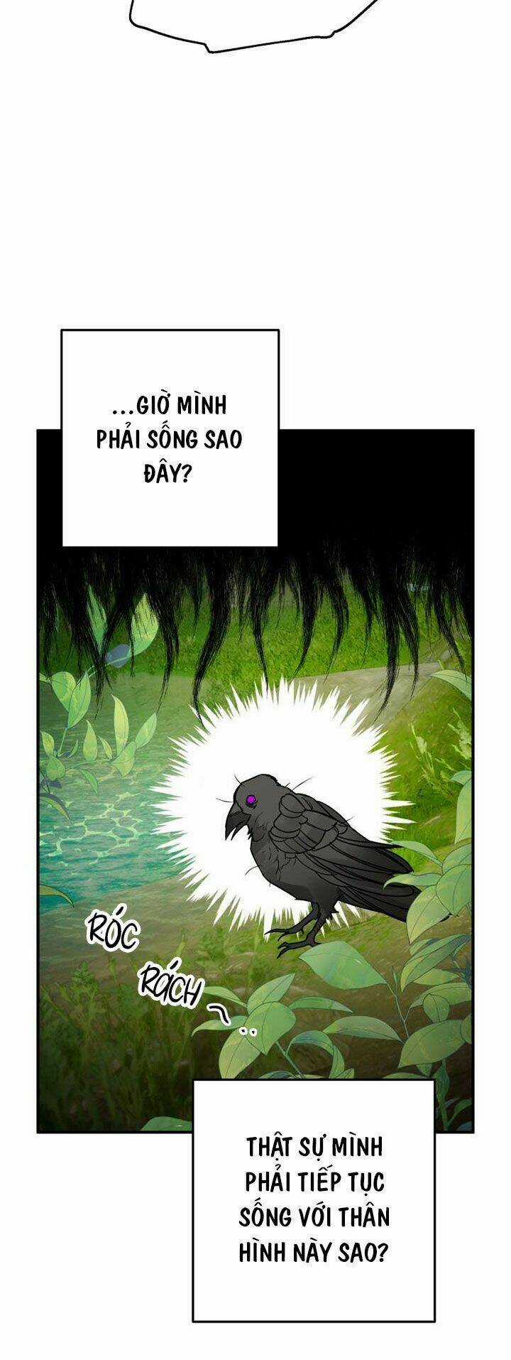 Bỗng Nhiên Tôi Trở Thành Quạ Đen!! Chapter 1 trang 30