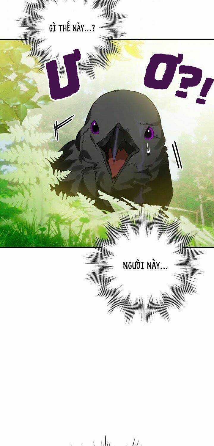 Bỗng Nhiên Tôi Trở Thành Quạ Đen!! Chapter 1 trang 65