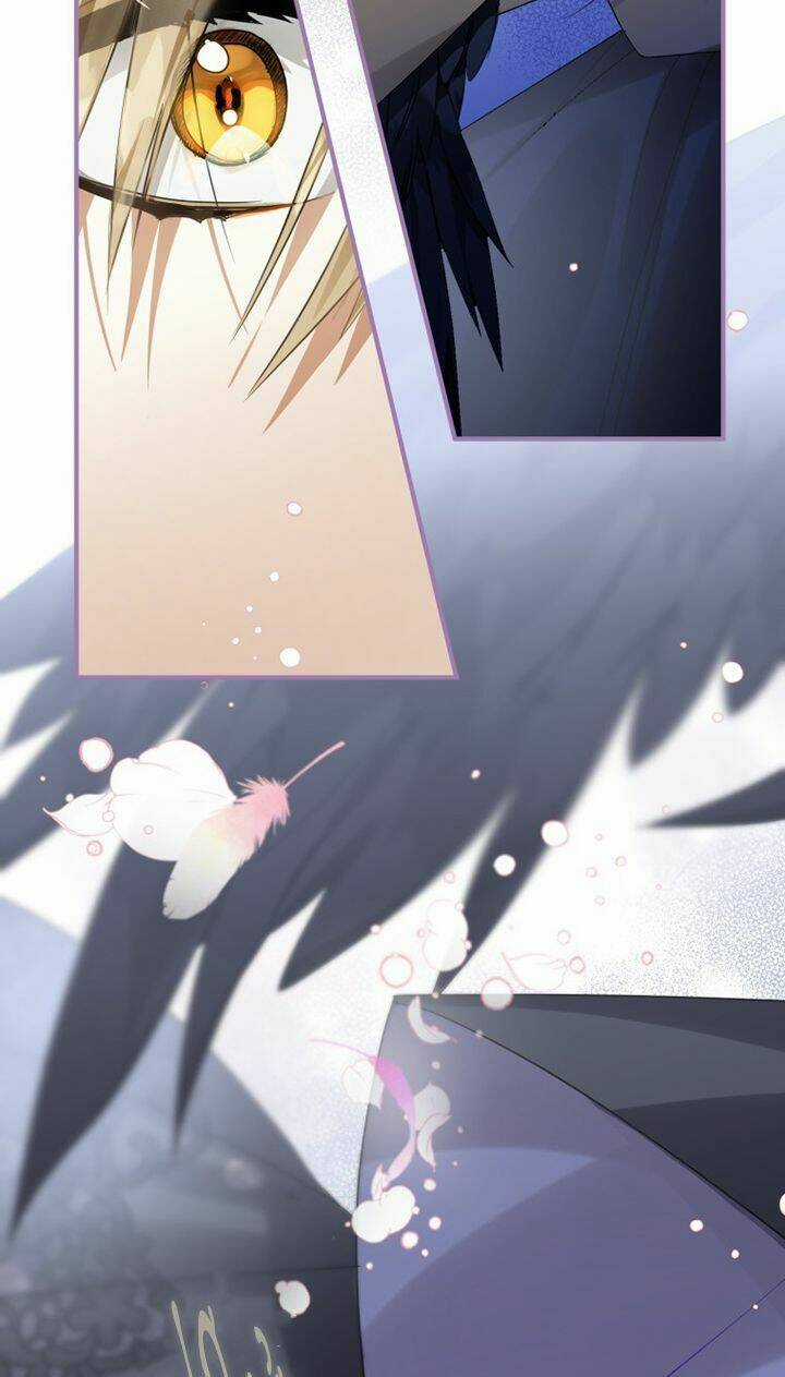 Bỗng Nhiên Tôi Trở Thành Quạ Đen!! Chapter 11 trang 59