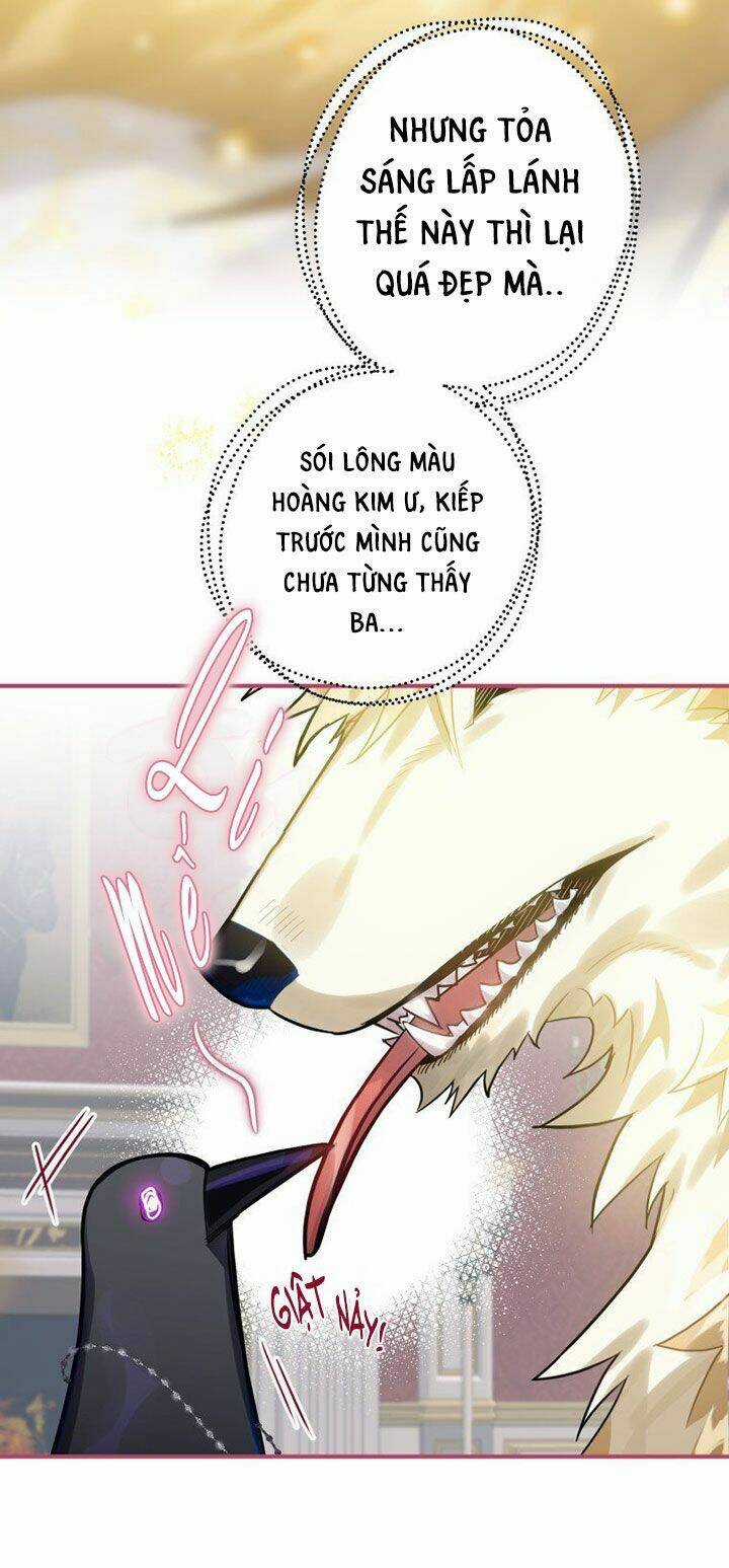 Bỗng Nhiên Tôi Trở Thành Quạ Đen!! Chapter 13 trang 11