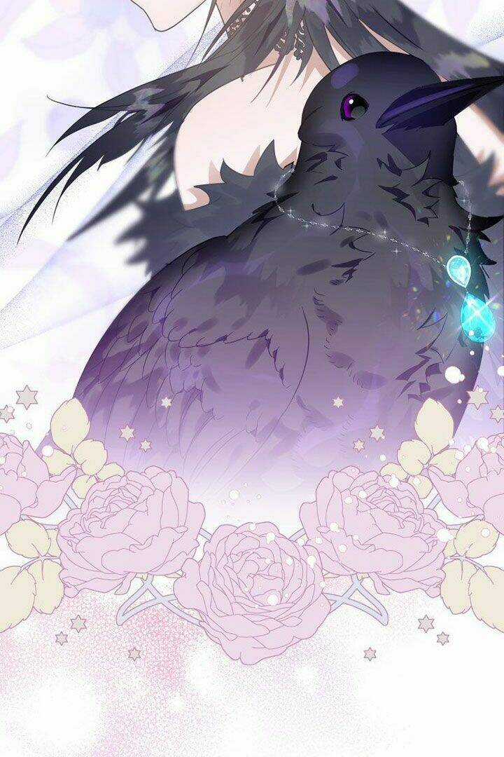 Bỗng Nhiên Tôi Trở Thành Quạ Đen!! Chapter 13 trang 40