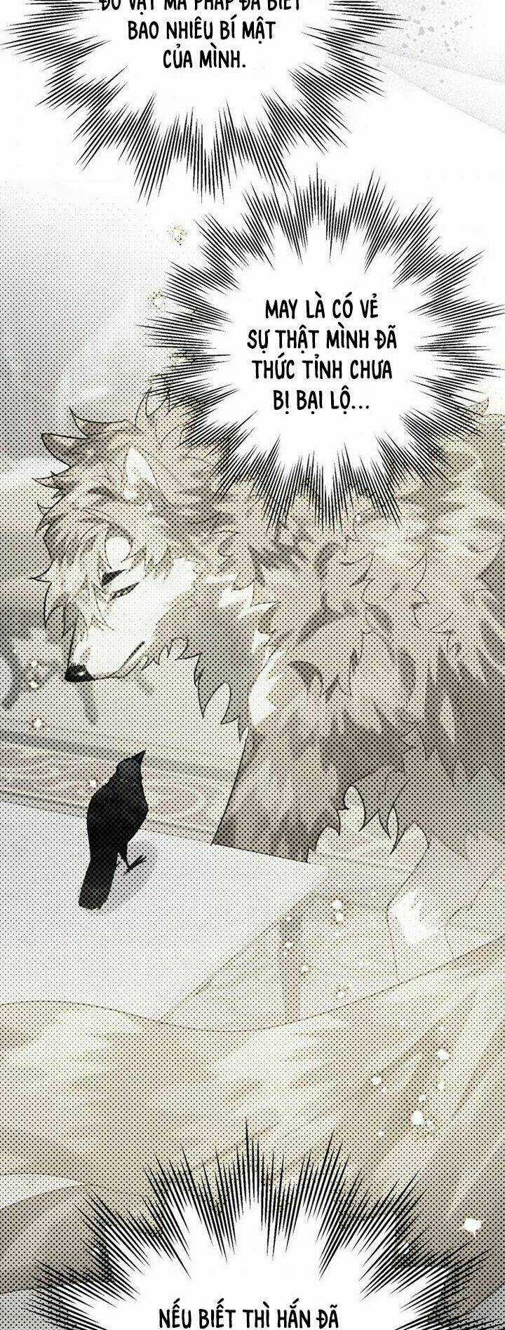 Bỗng Nhiên Tôi Trở Thành Quạ Đen!! Chapter 17 trang 37