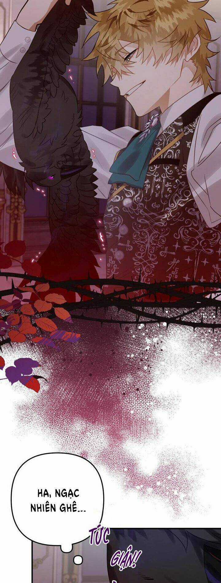 Bỗng Nhiên Tôi Trở Thành Quạ Đen!! Chapter 18 trang 13