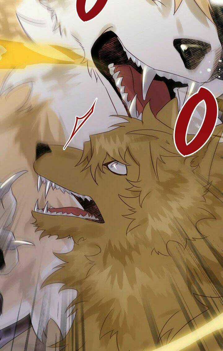 Bỗng Nhiên Tôi Trở Thành Quạ Đen!! Chapter 19 trang 42