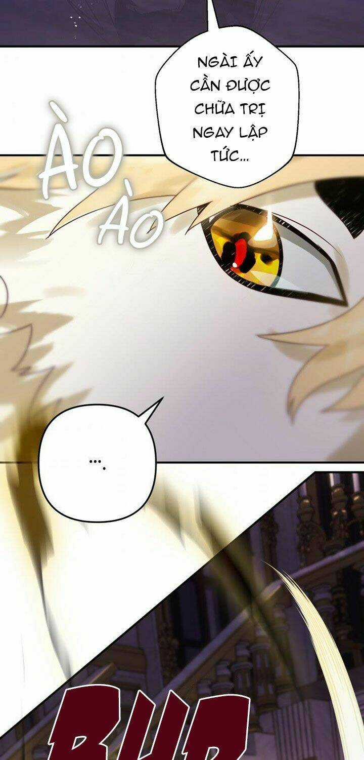 Bỗng Nhiên Tôi Trở Thành Quạ Đen!! Chapter 19 trang 51