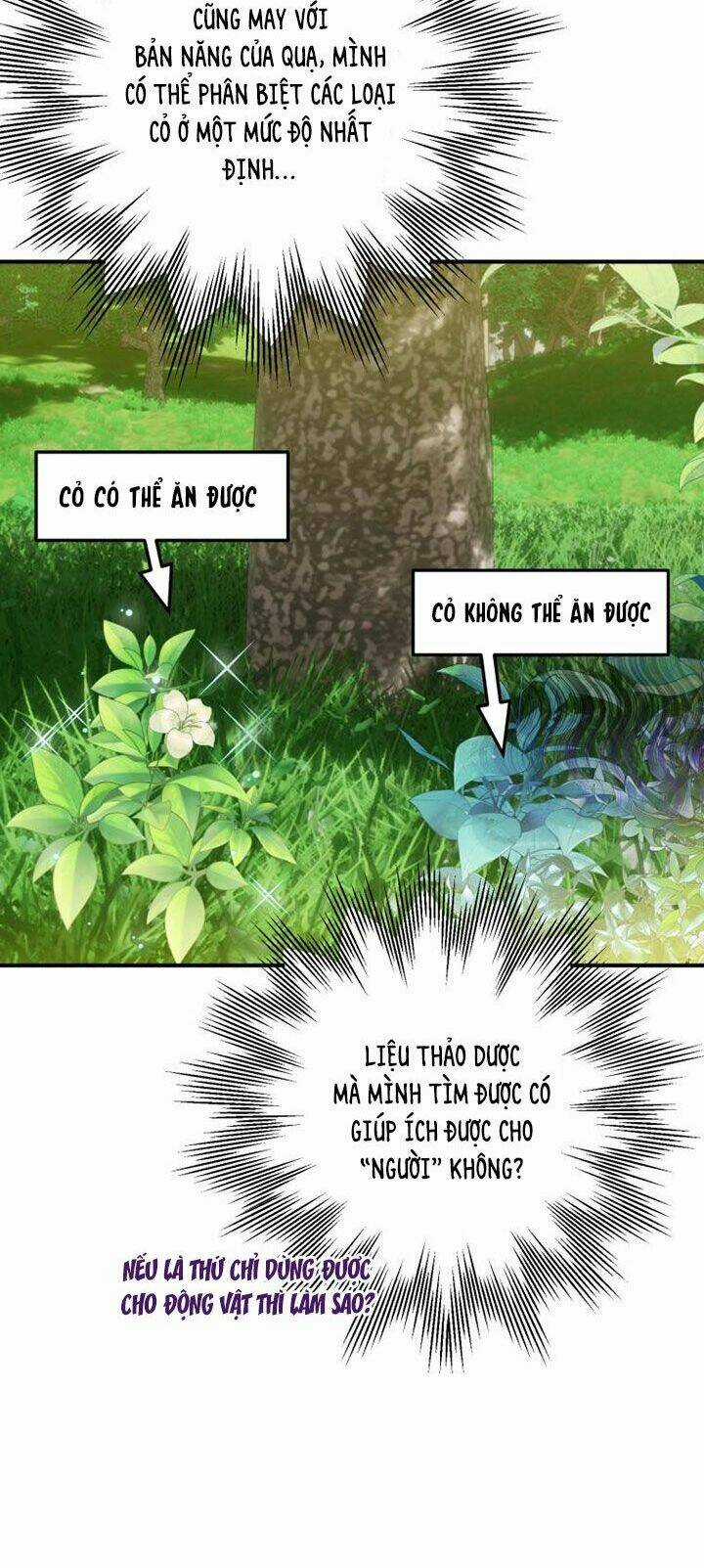 Bỗng Nhiên Tôi Trở Thành Quạ Đen!! Chapter 2 trang 36