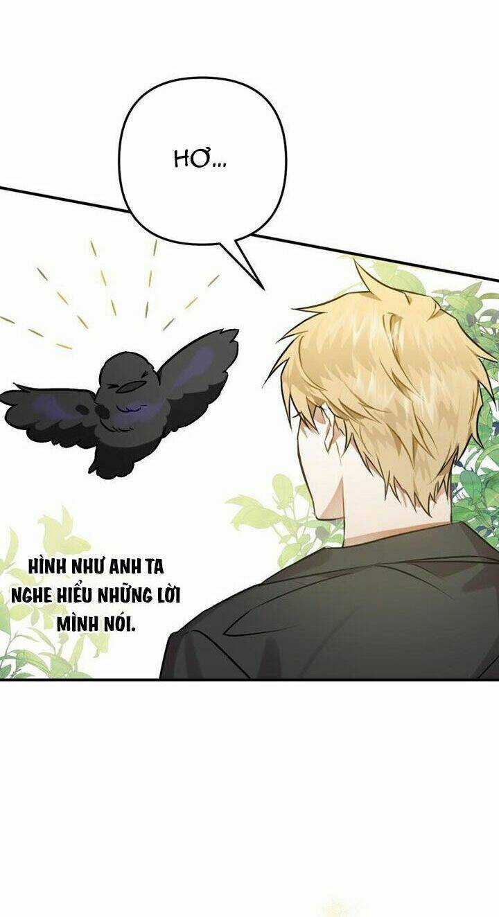 Bỗng Nhiên Tôi Trở Thành Quạ Đen!! Chapter 2 trang 65