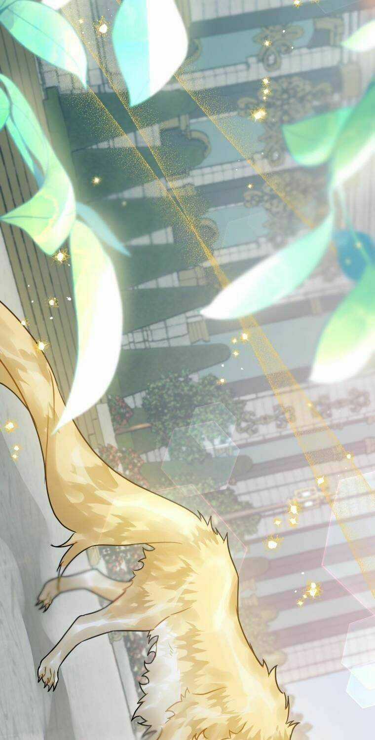 Bỗng Nhiên Tôi Trở Thành Quạ Đen!! Chapter 20 trang 13