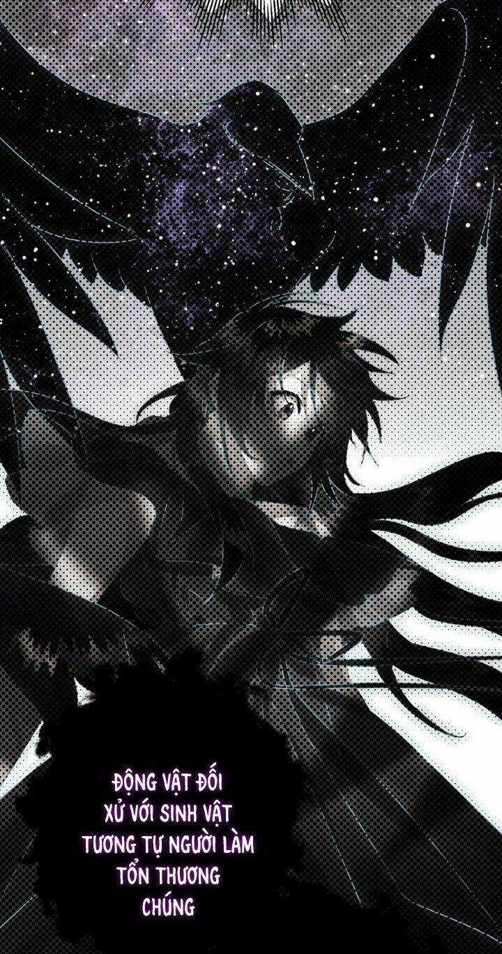 Bỗng Nhiên Tôi Trở Thành Quạ Đen!! Chapter 21 trang 52