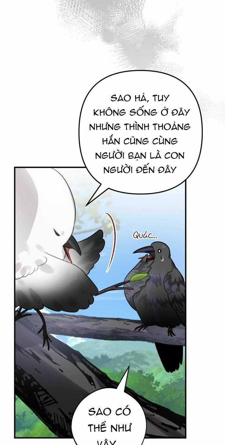Bỗng Nhiên Tôi Trở Thành Quạ Đen!! Chapter 24 trang 13