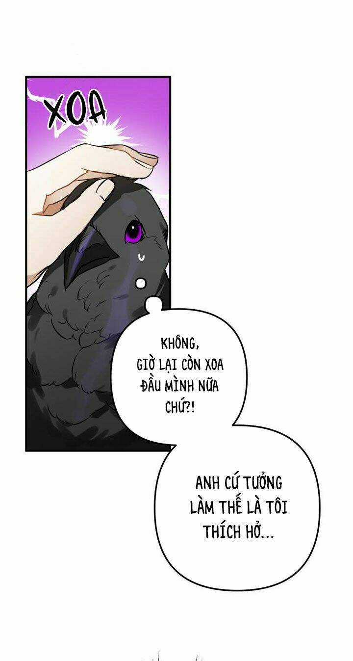 Bỗng Nhiên Tôi Trở Thành Quạ Đen!! Chapter 3 trang 17