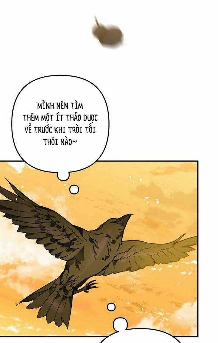 Bỗng Nhiên Tôi Trở Thành Quạ Đen!! Chapter 3 trang 33