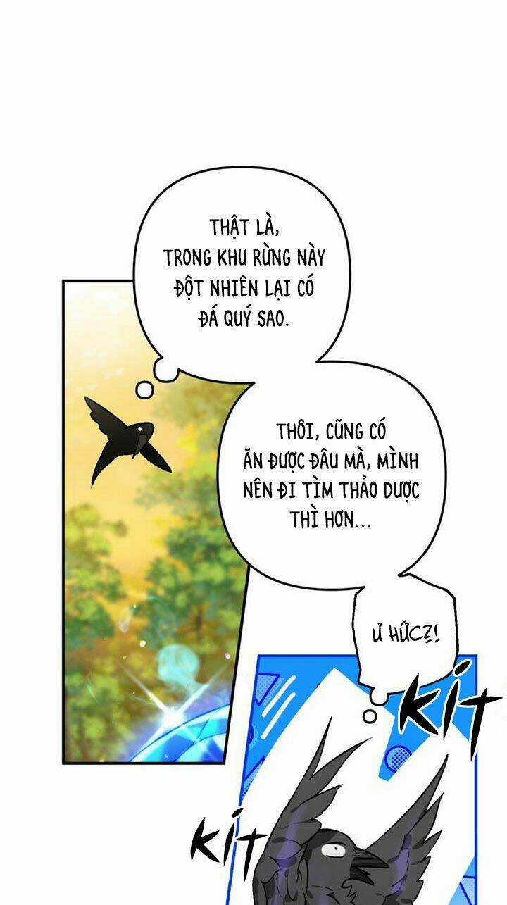 Bỗng Nhiên Tôi Trở Thành Quạ Đen!! Chapter 3 trang 37