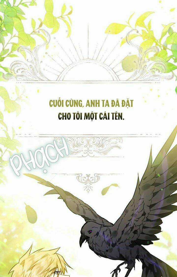 Bỗng Nhiên Tôi Trở Thành Quạ Đen!! Chapter 3 trang 9