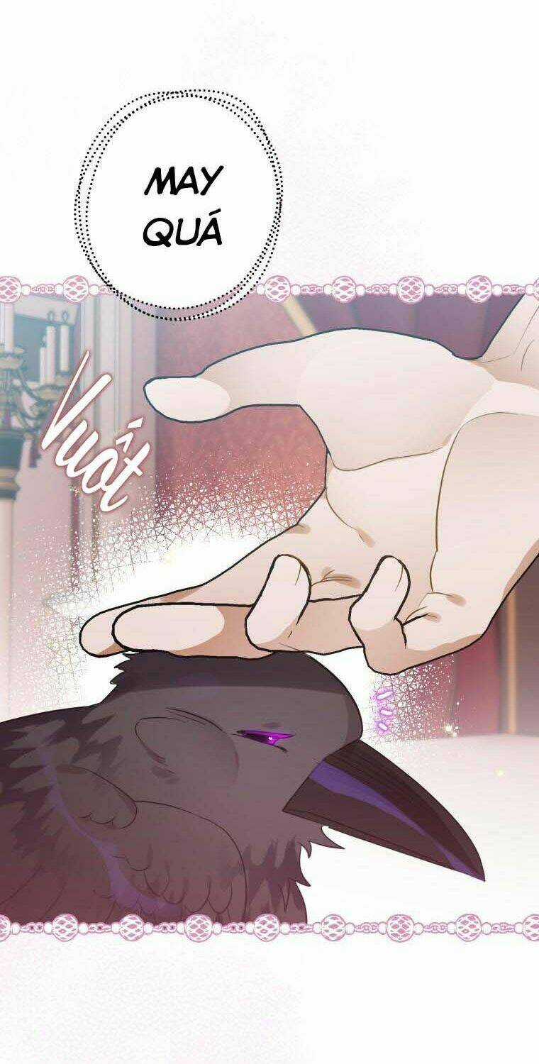 Bỗng Nhiên Tôi Trở Thành Quạ Đen!! Chapter 30 trang 46