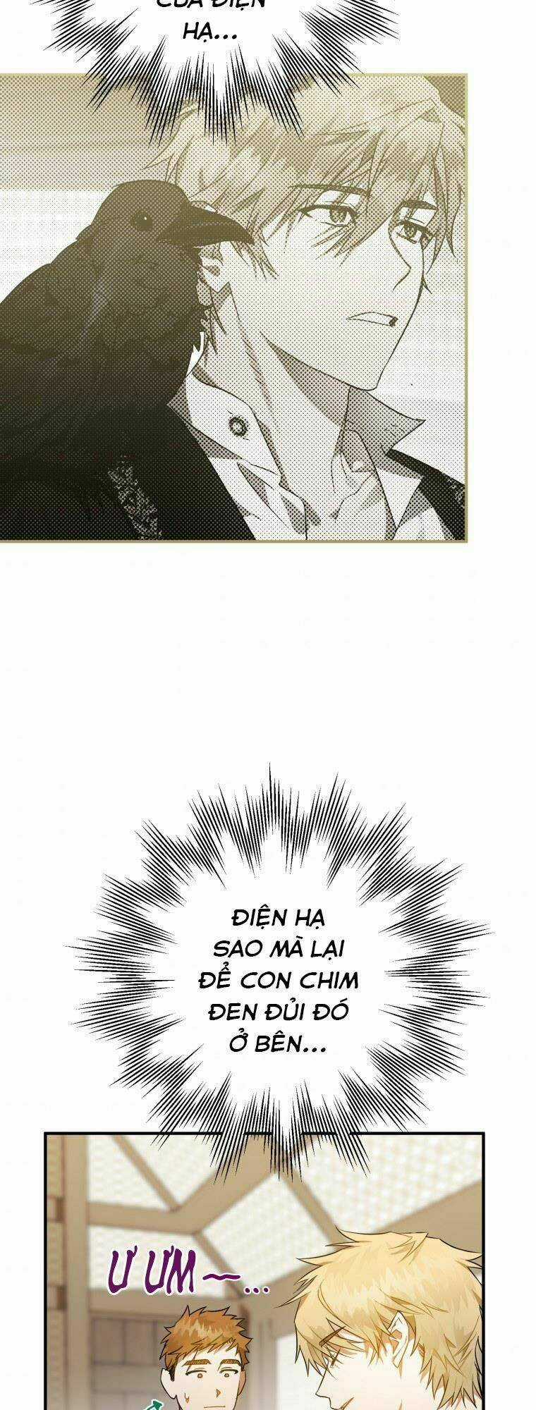 Bỗng Nhiên Tôi Trở Thành Quạ Đen!! Chapter 5 trang 23