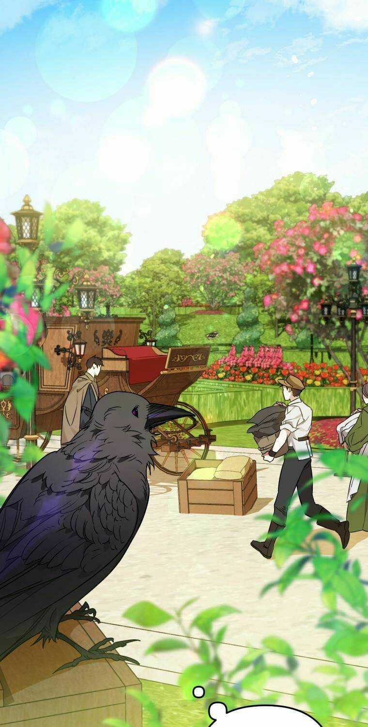 Bỗng Nhiên Tôi Trở Thành Quạ Đen!! Chapter 5 trang 53