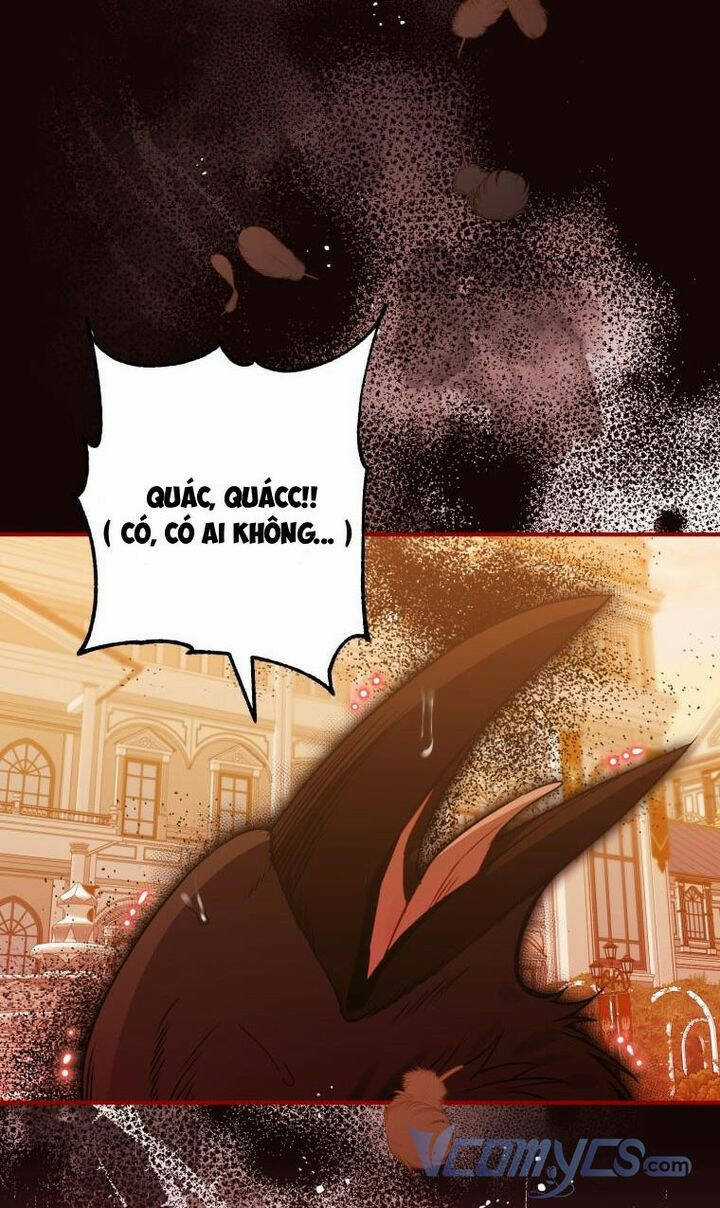 Bỗng Nhiên Tôi Trở Thành Quạ Đen!! Chapter 51 trang 1
