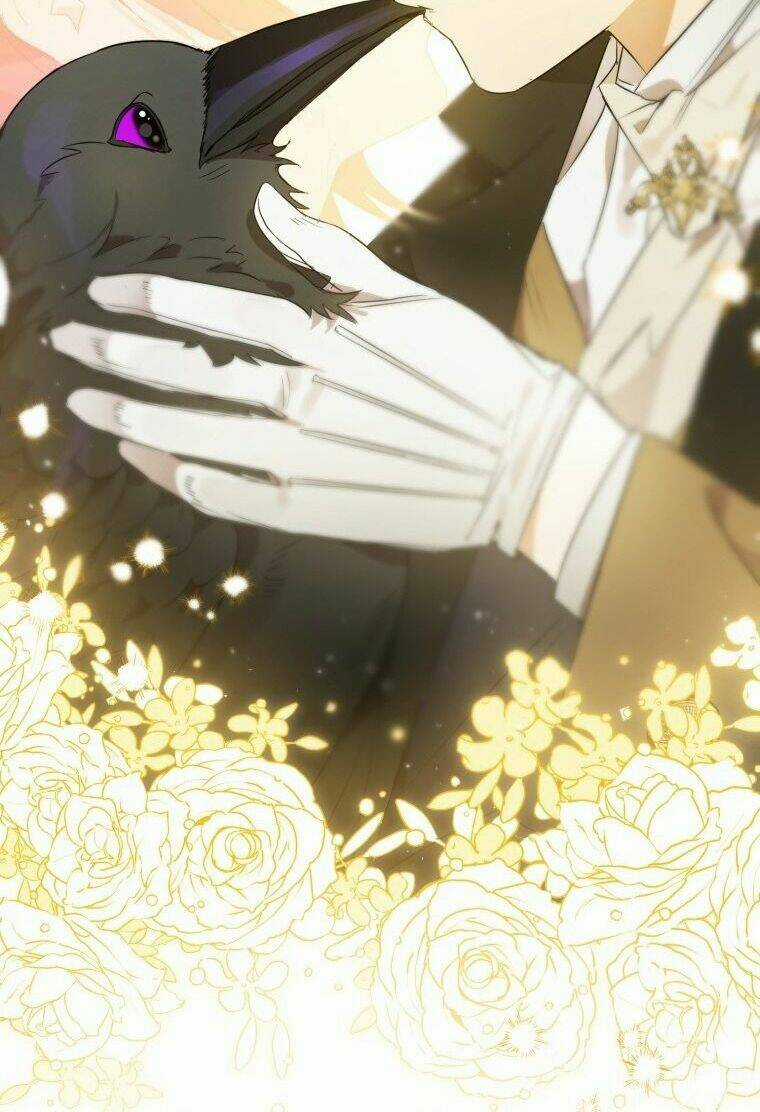 Bỗng Nhiên Tôi Trở Thành Quạ Đen!! Chapter 6 trang 25