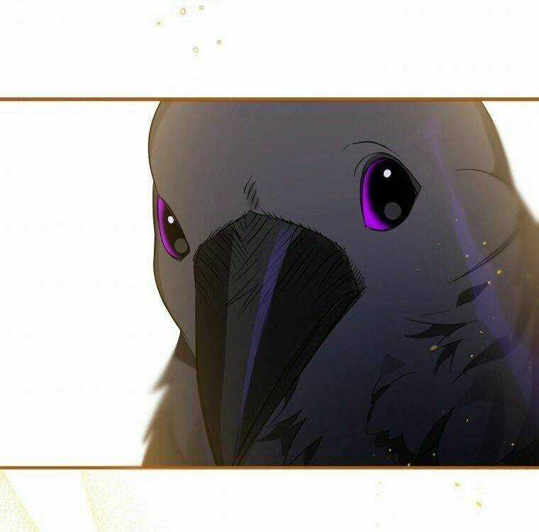 Bỗng Nhiên Tôi Trở Thành Quạ Đen!! Chapter 6 trang 34