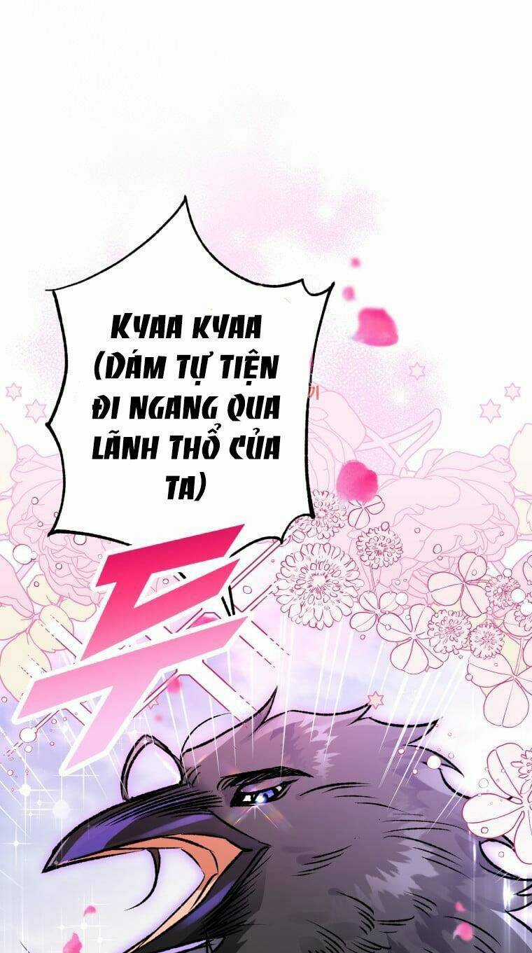 Bỗng Nhiên Tôi Trở Thành Quạ Đen!! Chapter 66 trang 0